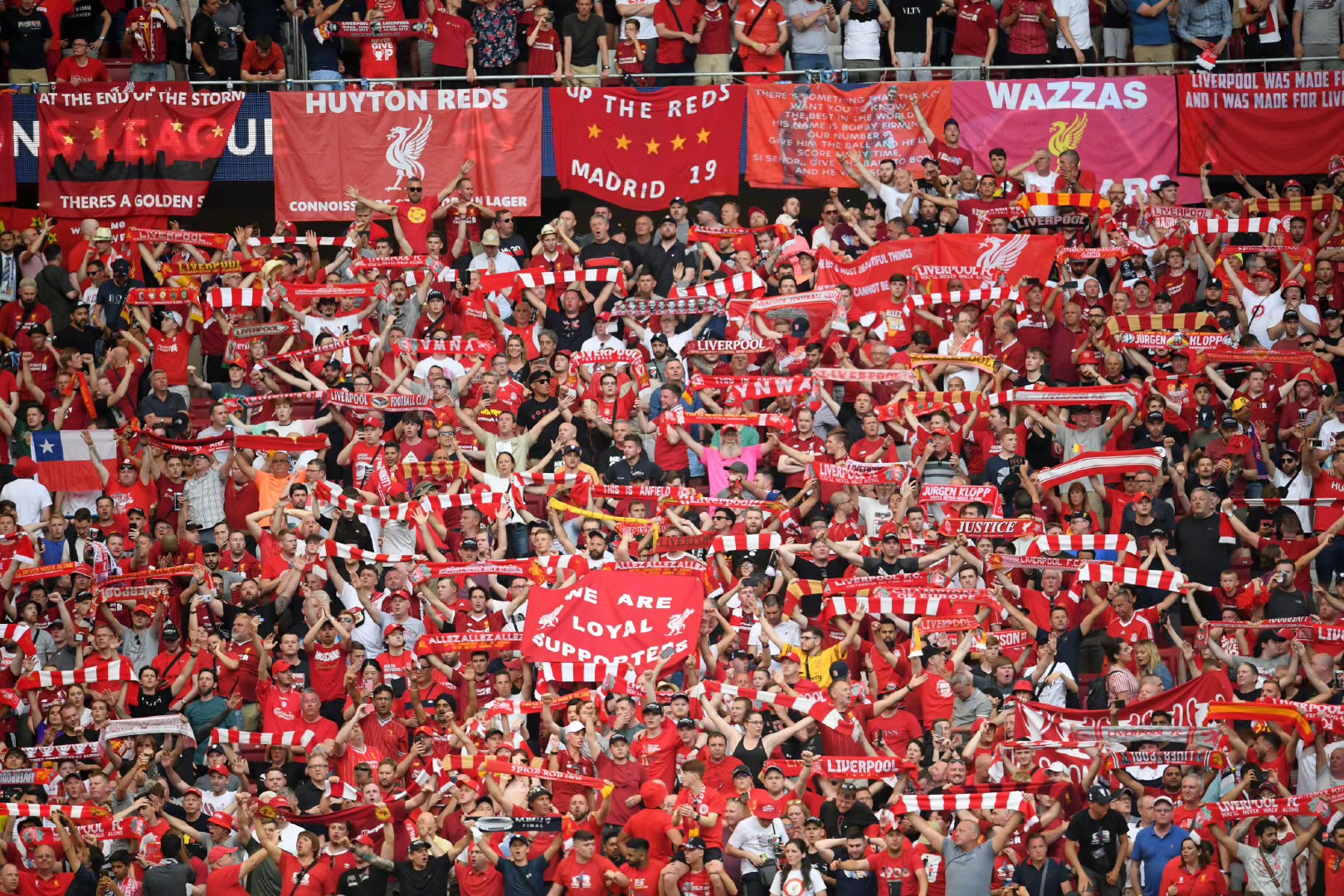 固了魔术在 固了魔术在